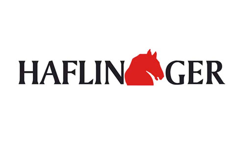 Haflinger, il cashmire ai tuoi piedi